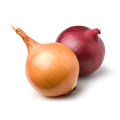 China 4-7cm Fresh Yellow/ Red Onion for sale